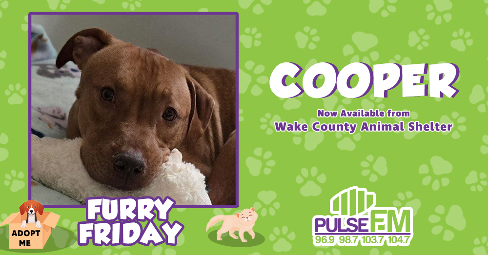Furry Friday: Meet Cooper!