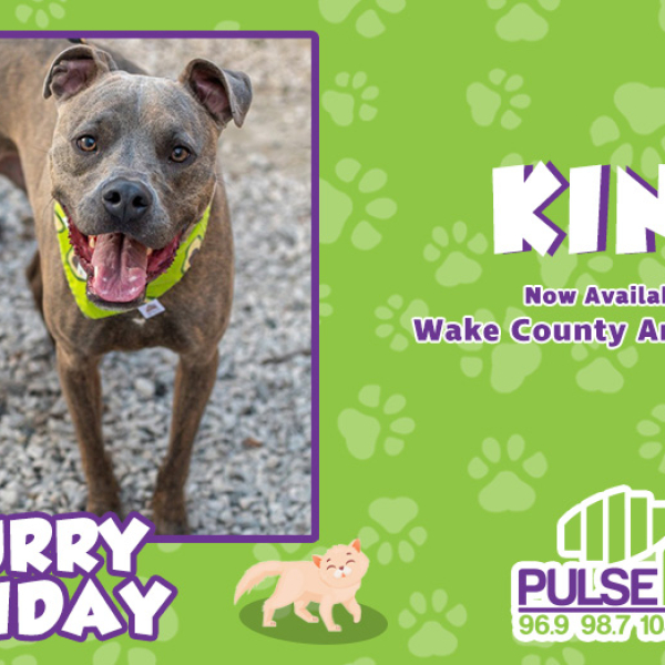 Furry Friday:  Meet King!