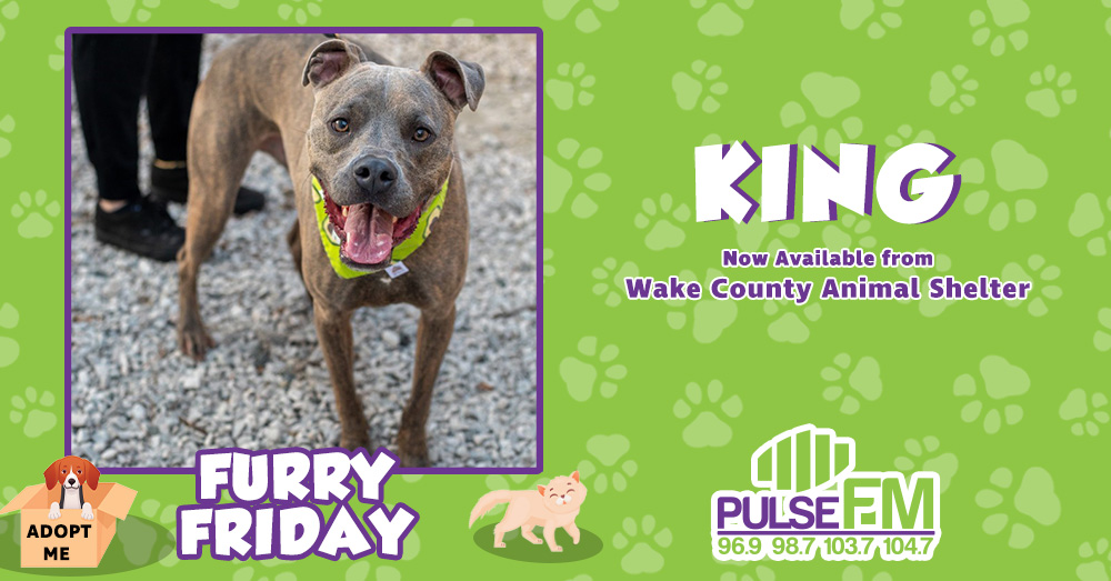 Furry Friday:  Meet King!