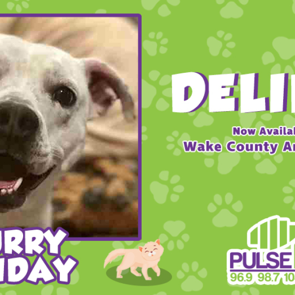 Furry Friday:  Meet Delilah!