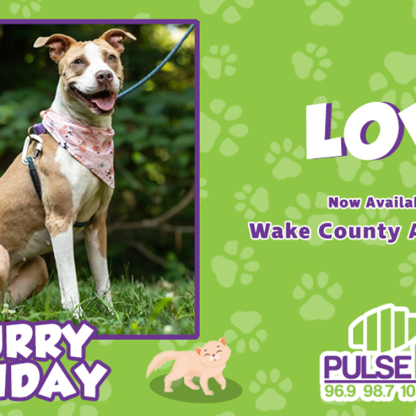 Furry Friday: Meet Love!