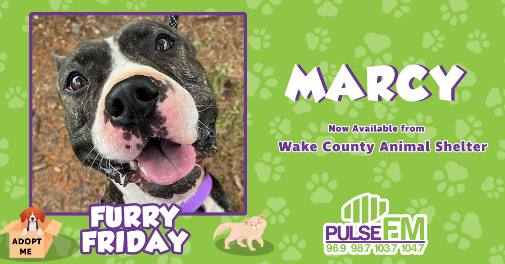 Furry Friday: Meet Marcy!