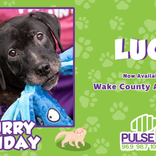 Furry Friday: Meet Lucy!