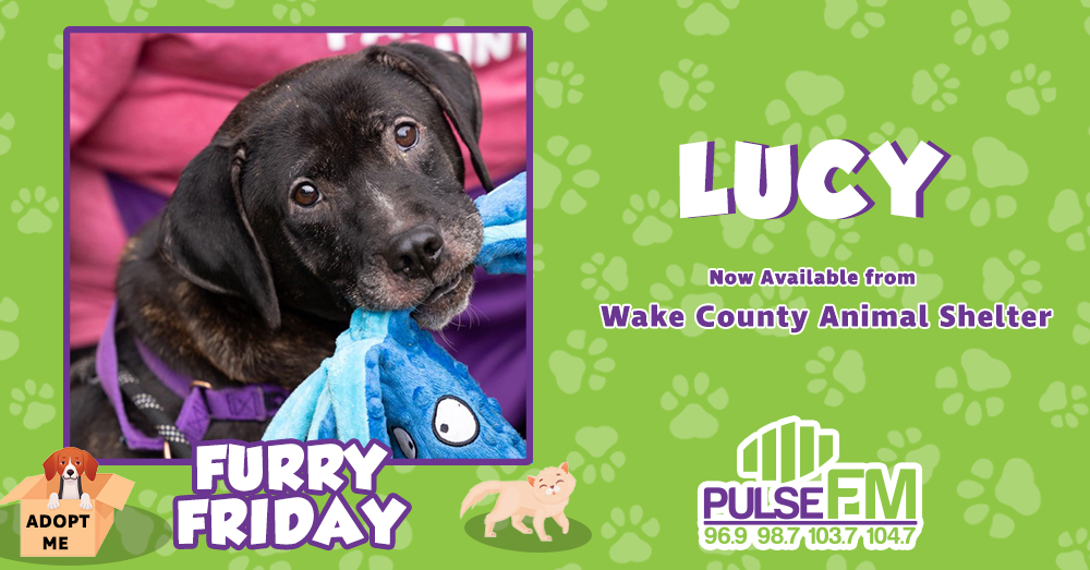 Furry Friday: Meet Lucy!