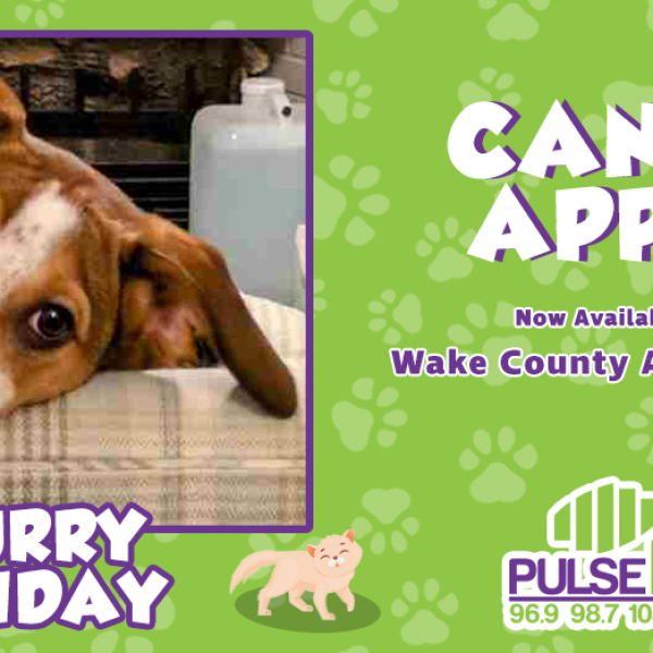 Furry Friday: Meet Candy Apple!