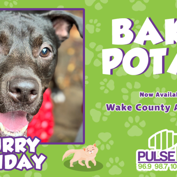 Furry Friday: Meet Baked Potato!