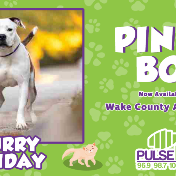 Furry Friday:  Meet Pinky Boy!