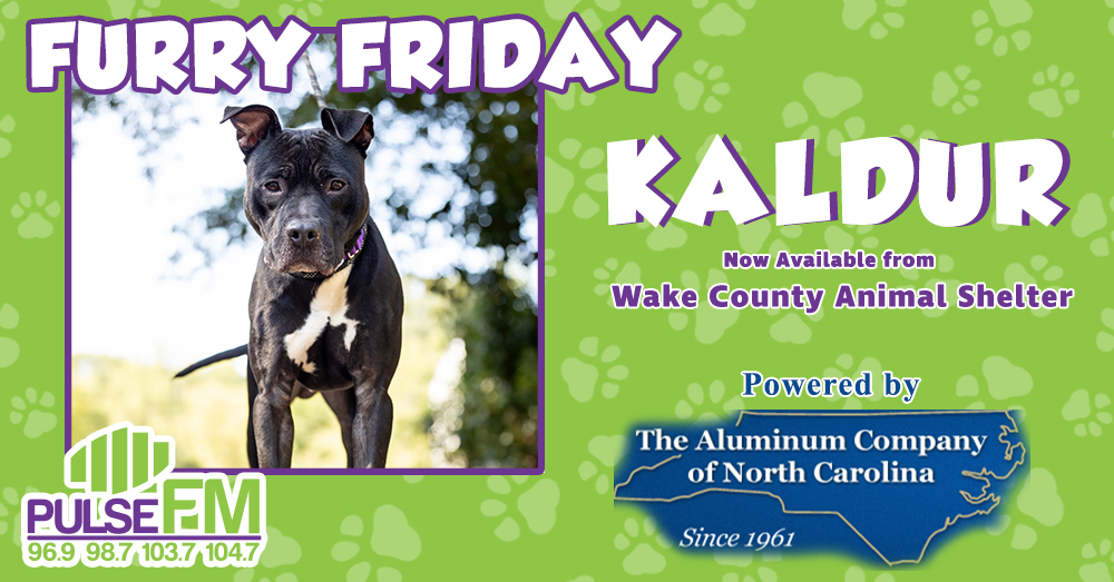 Furry Friday:  Meet Kaldur!
