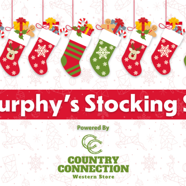 Matt Murphy’s Stocking Stuffers