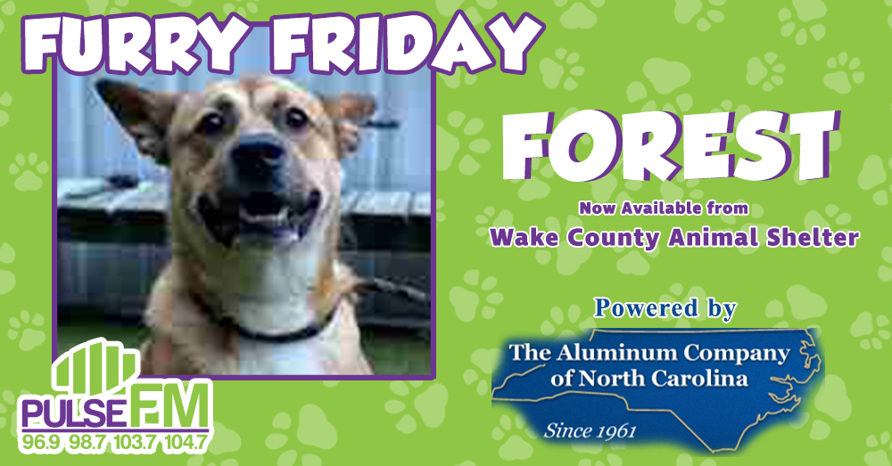 Furry Friday:  Meet Forest!