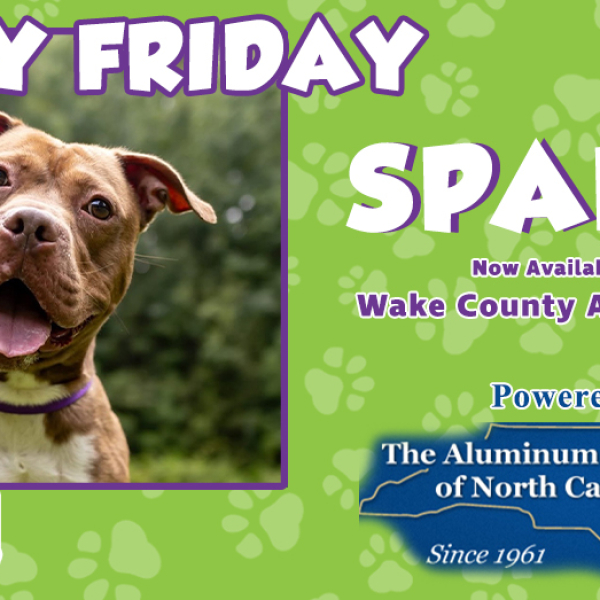 Furry Friday: Meet Sparky!
