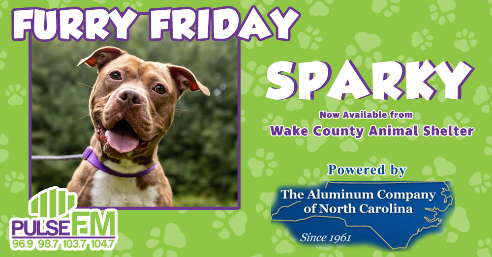 Furry Friday: Meet Sparky!