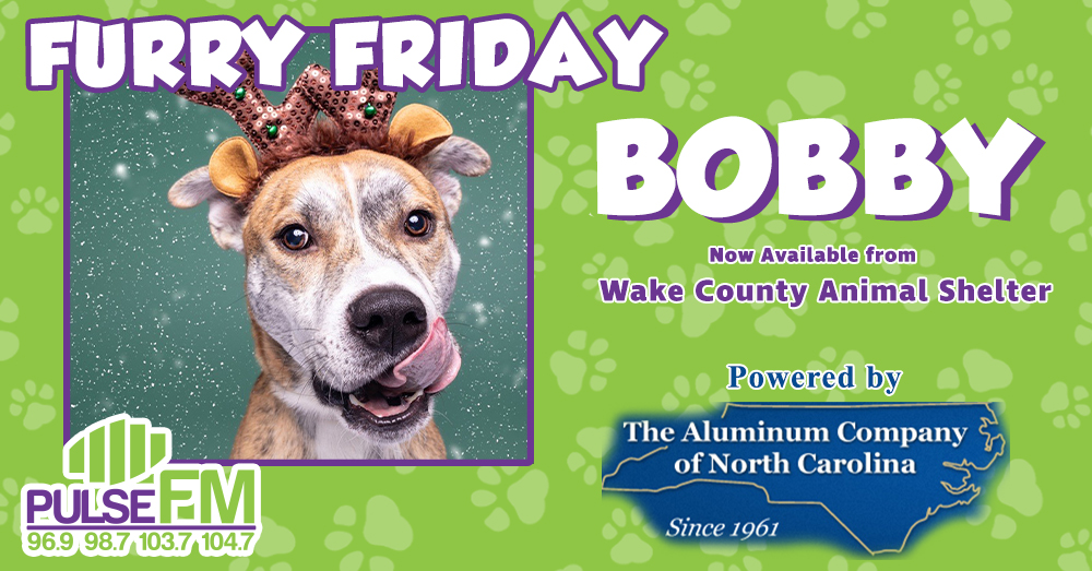 Furry Friday: Meet Bobby!