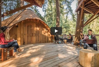 WATCH: Microsoft Meetings in Tree Houses