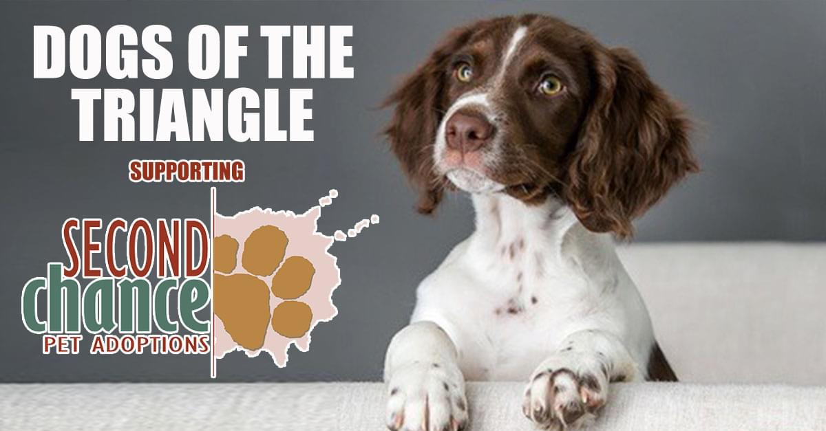 Be a part of the ‘DOGS of the TRIANGLE’ book project, now underway!