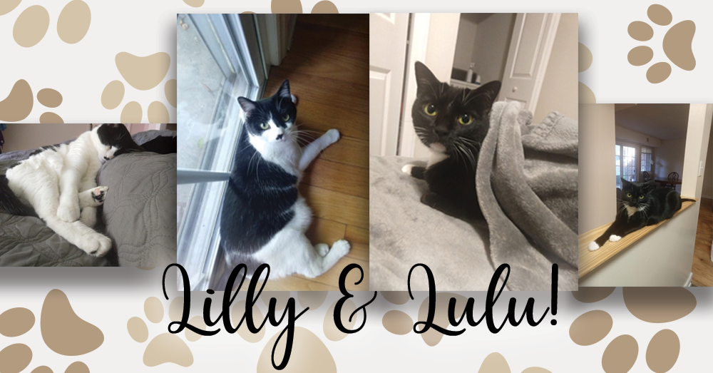 Wet Nose Wednesday: Lilly and Lulu