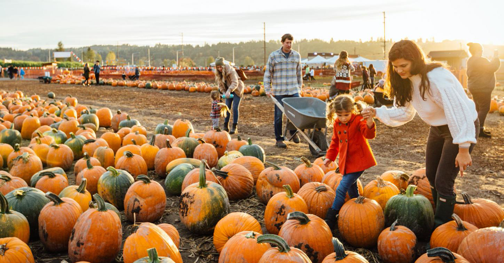 Halloween Events and Pumpkin Patches to Open This Weekend