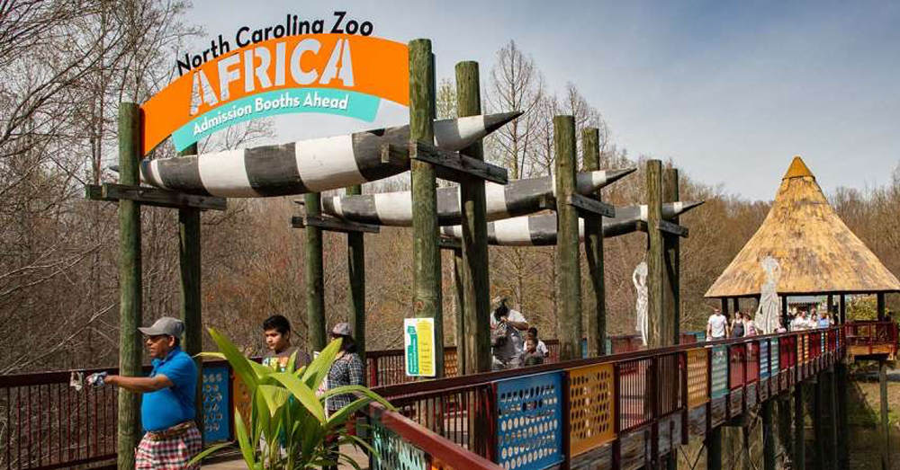 NC Zoo to be featured on Nat Geo WILD