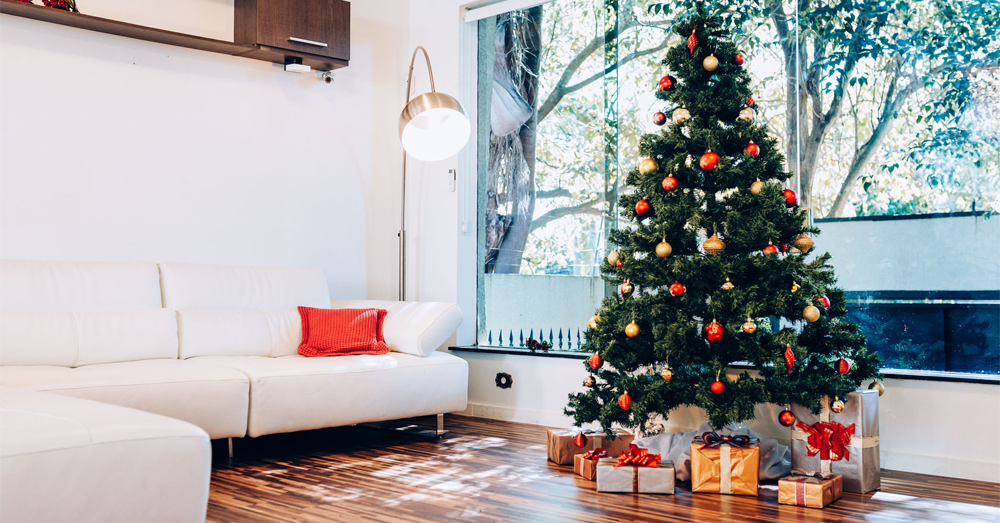 Recycle Your Christmas Tree This Season!