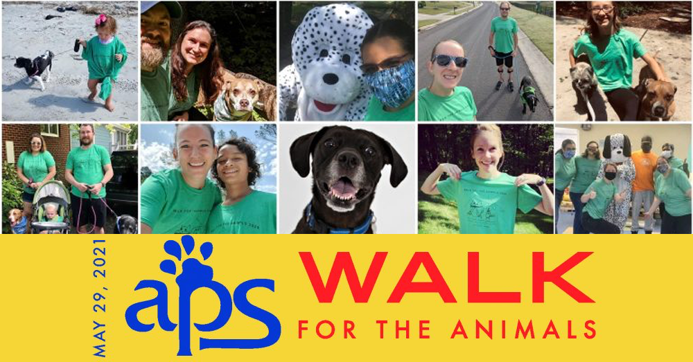 Join APS of Durham as they Walk For The Animals!