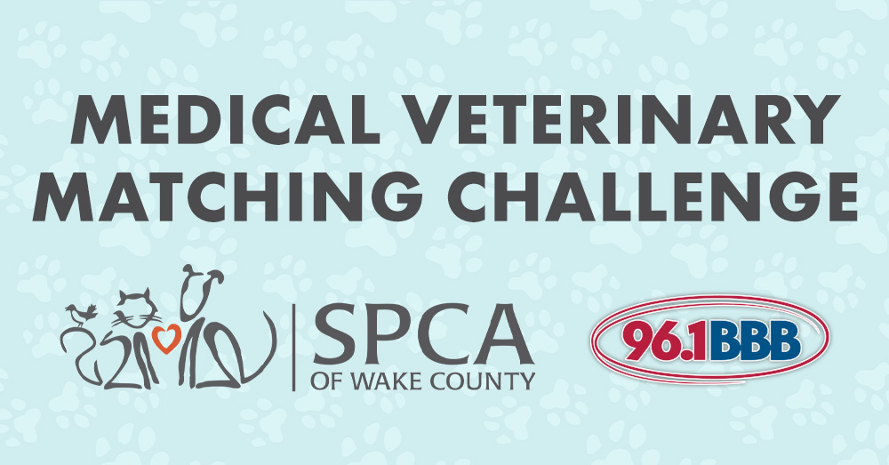 96.1 BBB Invites You to Join the SPCA’s Medical Veterinary Gift Challenge