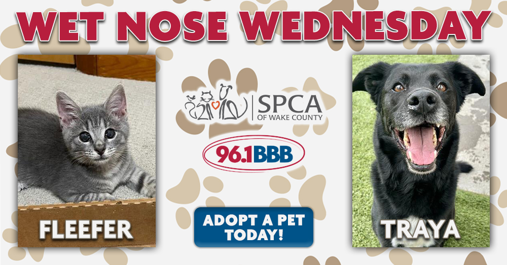 Wet Nose Wednesday: Meet Fleefer and Traya!