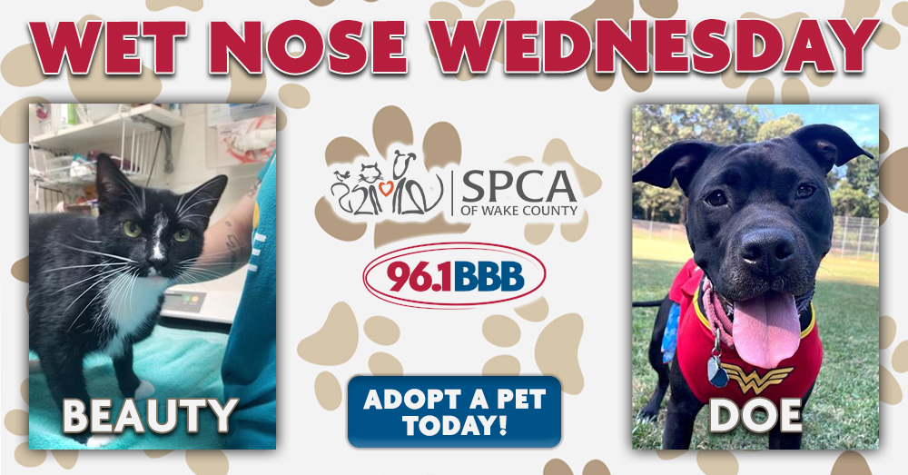 Wet Nose Wednesday: Meet Beauty and Doe!