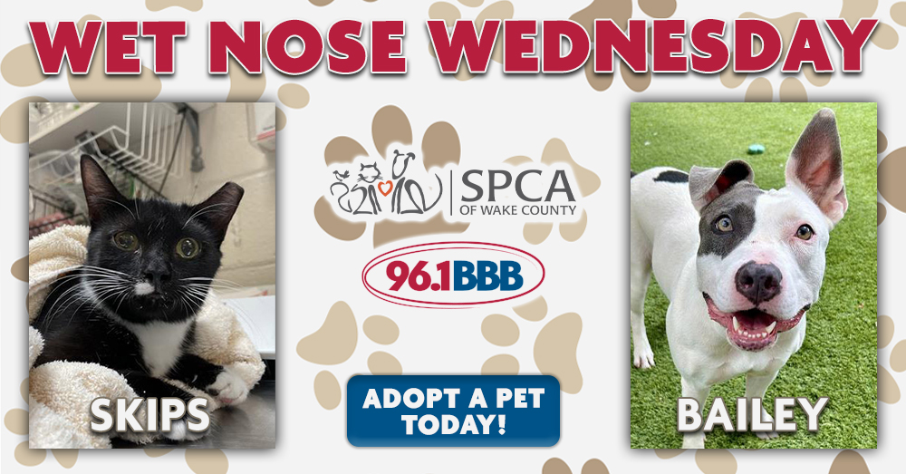 Wet Nose Wednesday: Meet Skips and Bailey!