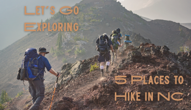 Let’s Go Exploring