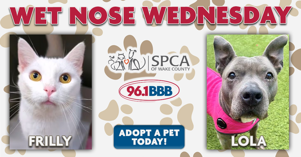 Wet Nose Wednesday: Meet Frilly and Lola!