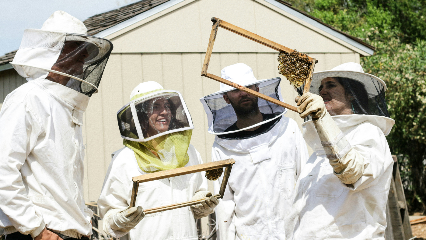 Borrowing Something Sweet – Honey Tasting & Hive Tour