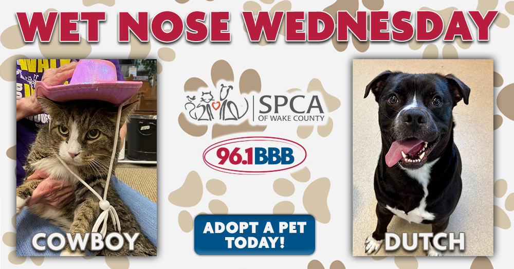 Wet Nose Wednesday: Meet Cowboy and Dutch!