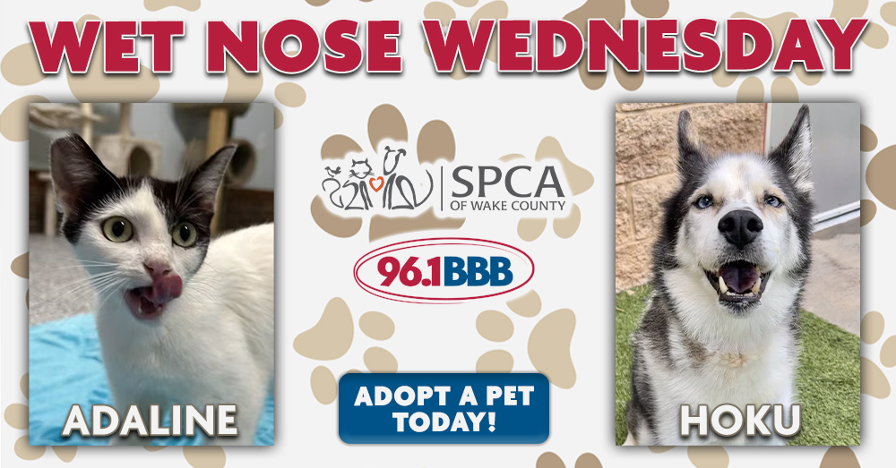Wet Nose Wednesday: Meet Adaline and Hoku!