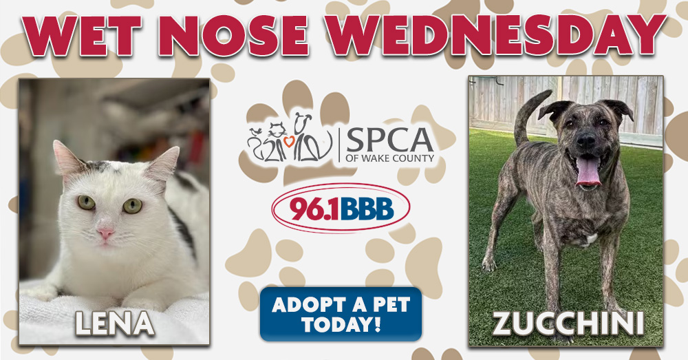 Wet Nose Wednesday: Meet Lena and Zucchini!