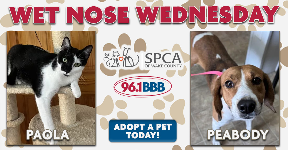 Wet Nose Wednesday: Meet Paola and Peabody!