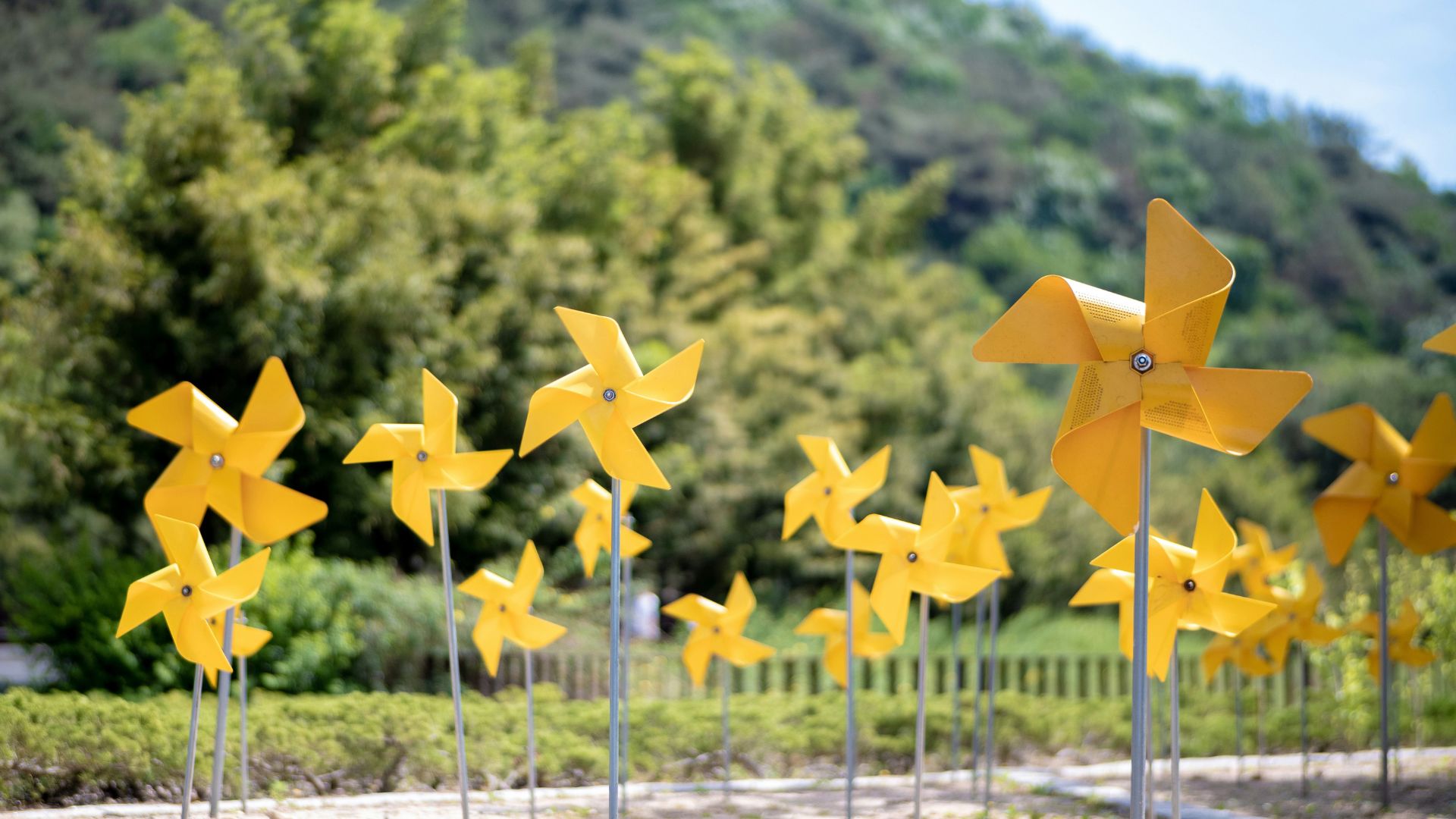 North Carolina Whirligig Festival