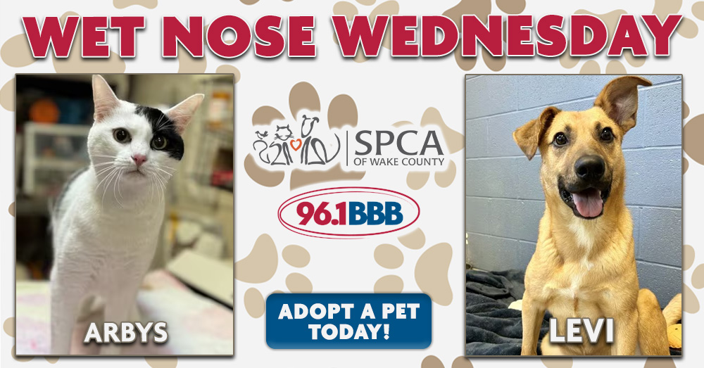 Wet Nose Wednesday: Meet Arbys and Levi!