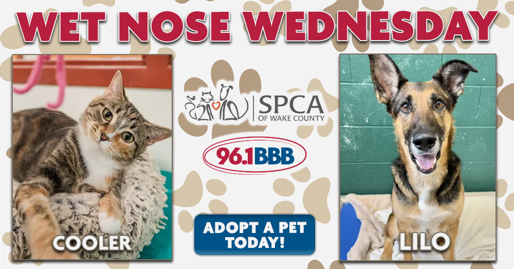 Wet Nose Wednesday: Meet Cooler and Lilo!