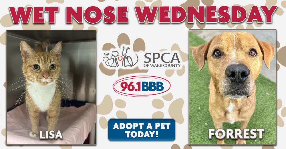 Wet Nose Wednesday: Meet Lisa and Forrest!