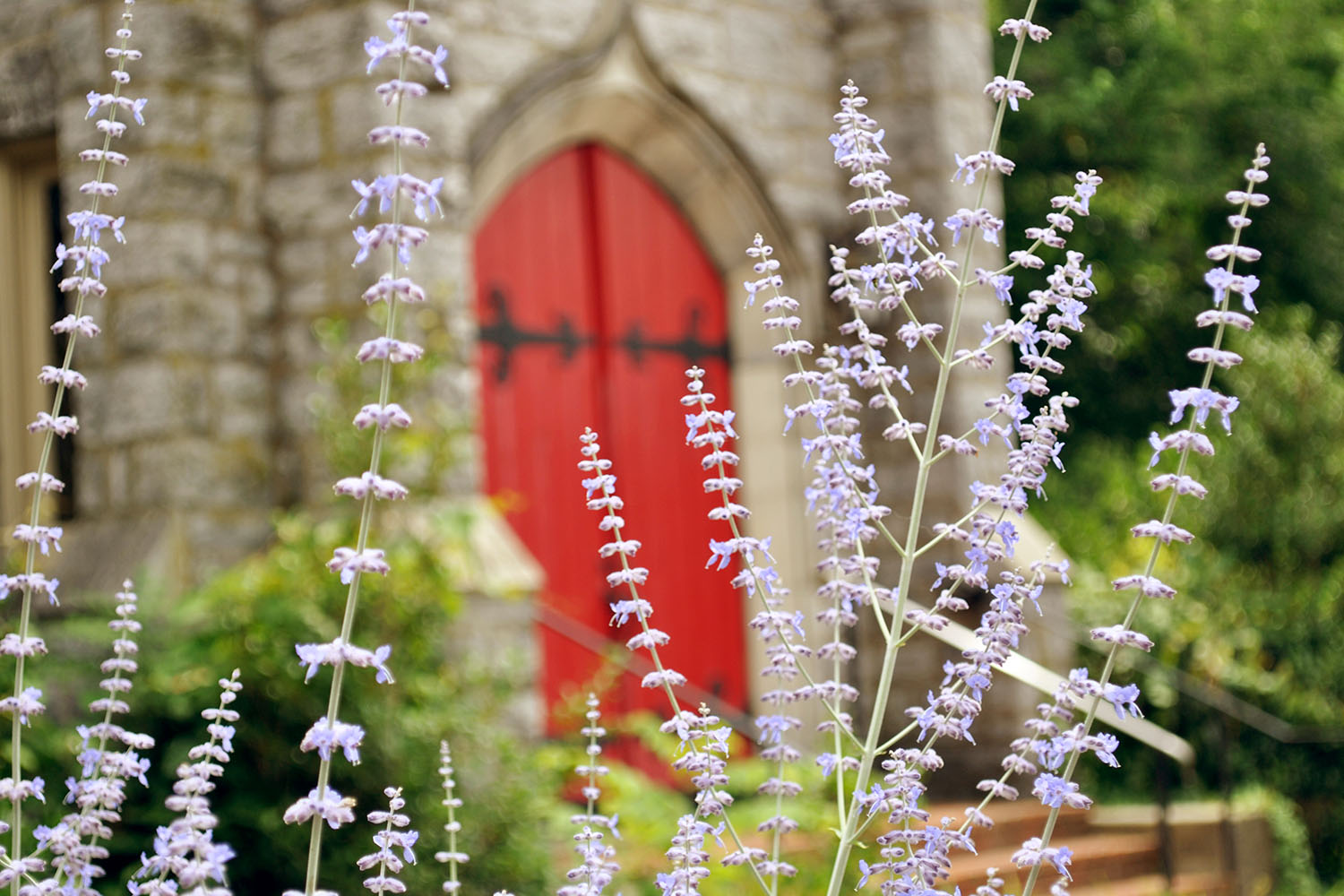 Tending God’s earth: a journey of faith through gardening