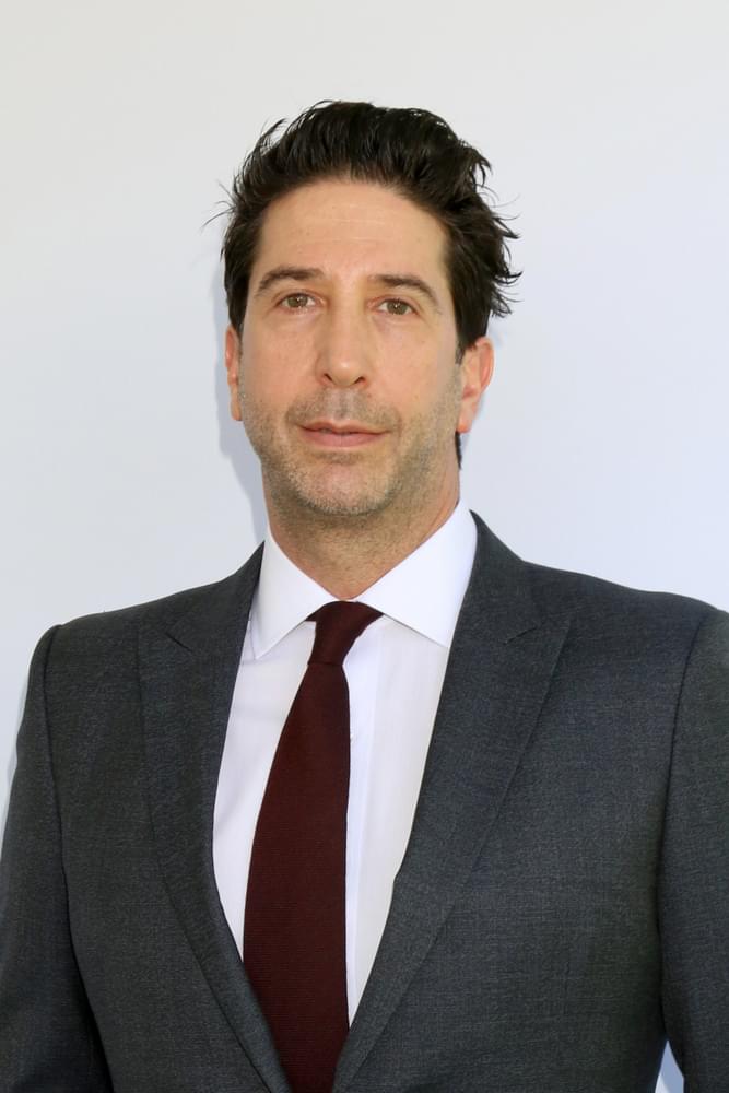 David Schwimmer Responds to Him Suggesting An All-Black or All-Asian “Friends” Reboot, After “Living Single” Fans Tear Him Apart On Social Media