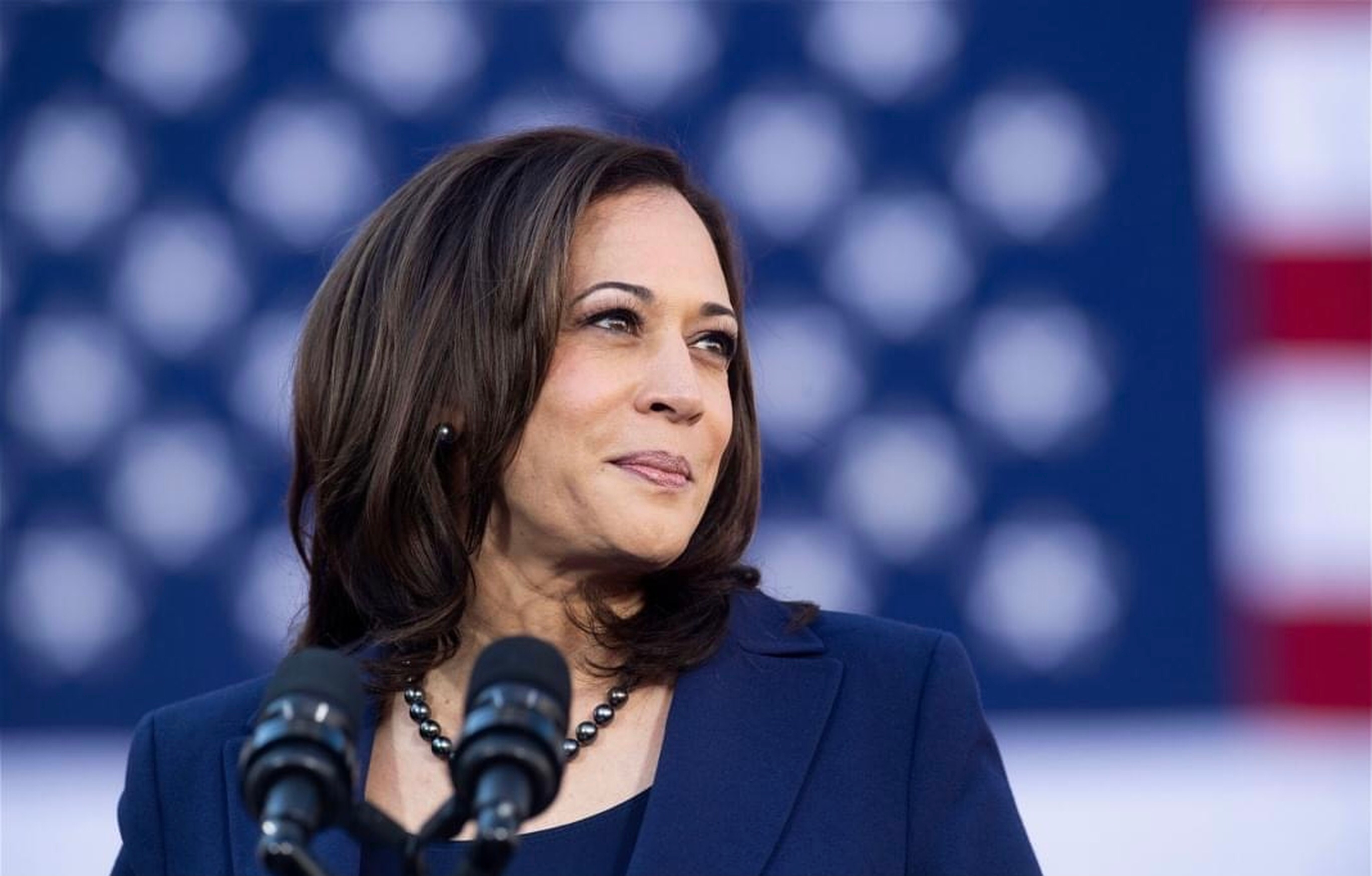 A Wanted Man Busted With Ammo & Guns Outside Of VP Kamala Harris’s Home!