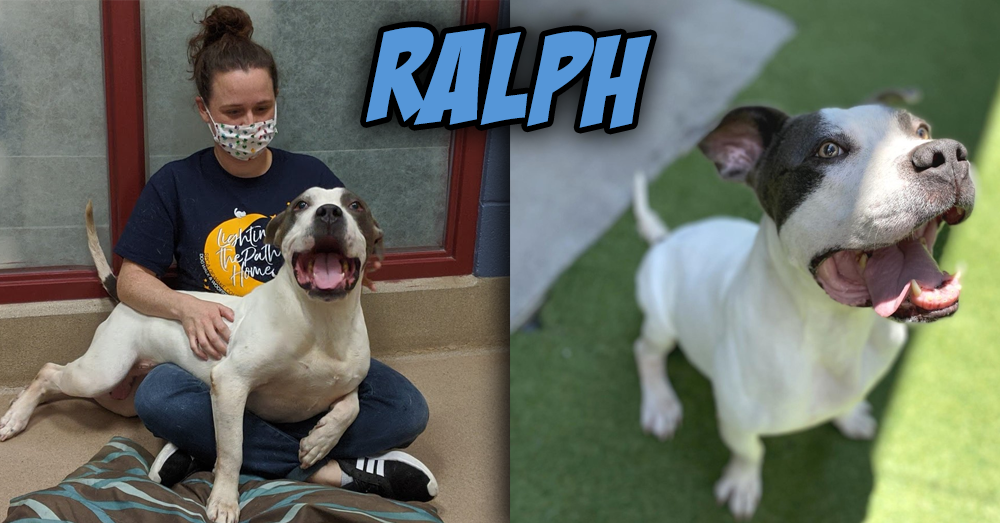 Fursday: Ralph