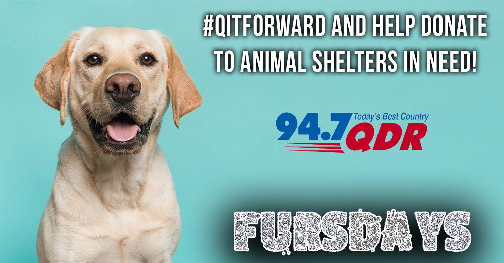 Fursdays: Q It Forward with Donations!