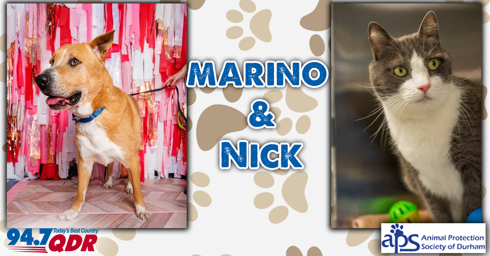 Fursday: Marino and Nick
