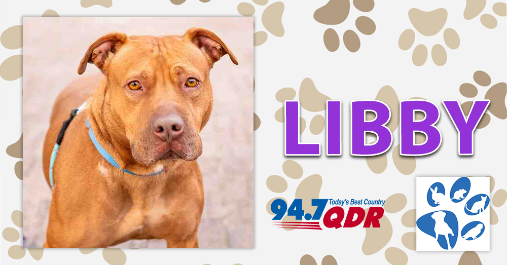 Fursday: Libby from Wake County Animal Center