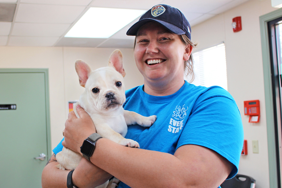 Low-Cost Vaccine/Microchip Clinic at SPCA of Wake County