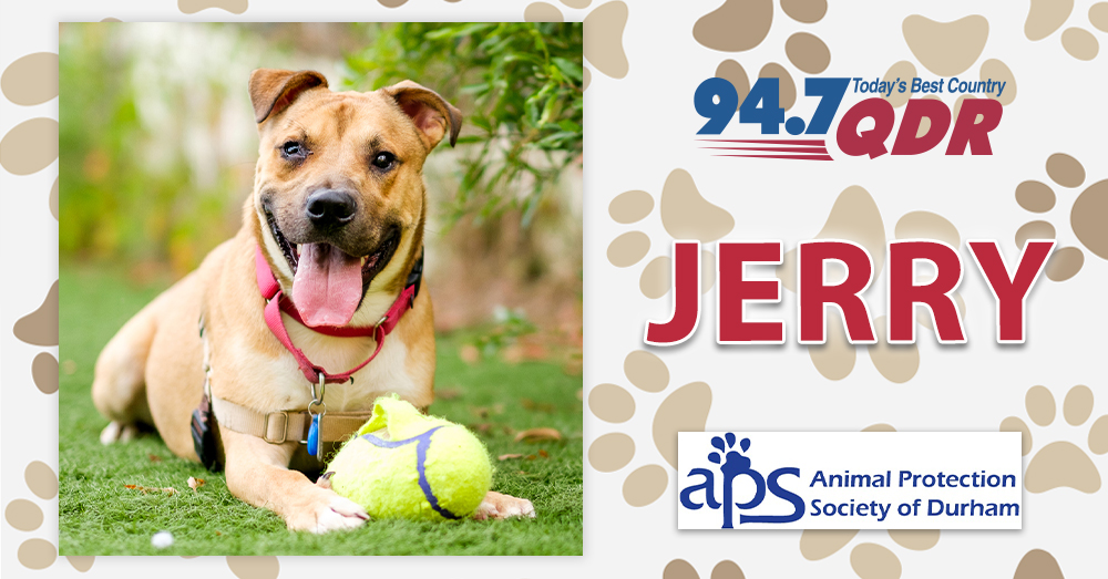 Fursday: Meet Jerry from APS of Durham!