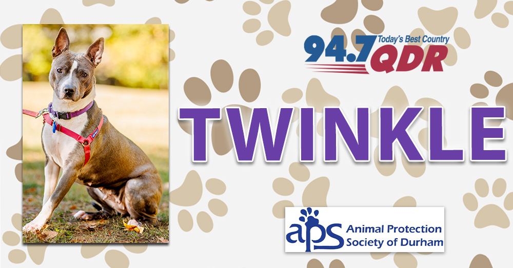 Fursday: Meet Twinkle With APS!