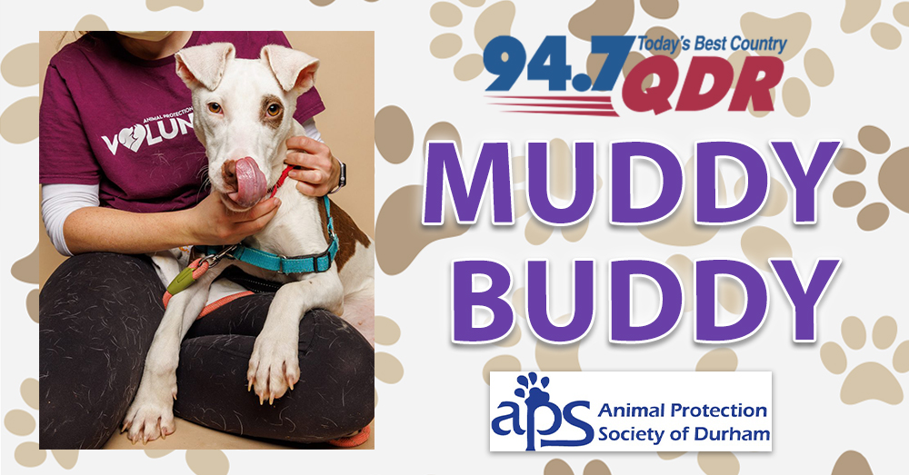 Fursday: Meet Muddy Buddy with APS